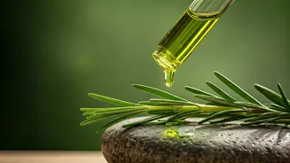 Related Stories banner