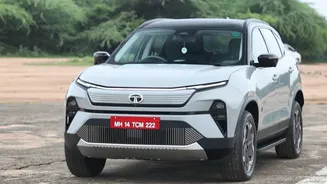 Tata Motors PV Share Price Live Updates: MS cuts target; Jefferies sees multiple headwinds