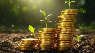 Why Beginner Investors Under 25 Should Pick Managed Index Funds Over Direct Shares