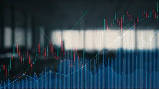 Q3 Earnings: Key Players & Market Reactions