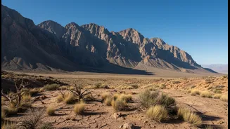 Why rain-shadow geography makes Ladakh the safest mountain destination to visit right now