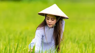 What To Check Before Booking A Chennai-Based Vietnam-Cambodia Tour