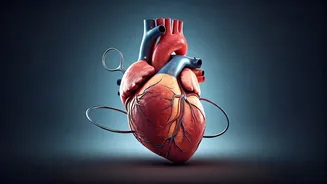 Related Stories banner