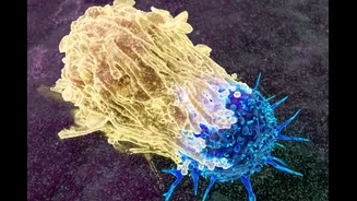 This Single Injection Shrinks Tumours Across The Body, Leaves Some Patients Cancer-Free, New Study Shows