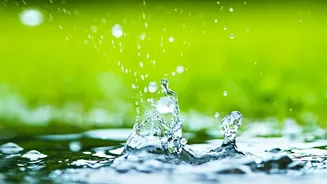 Why Monsoon Humidity Causes Damp And How To Manage It