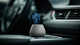 Banish Bad Odors: 7 Proven Strategies for a Consistently Fresh Car Interior