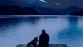 Spot Shooting Stars: Perseid And Orionid Meteor Shower Guide For Non-Metro Stargazers