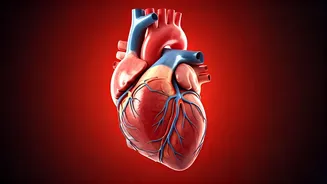 10 Pillars for a Healthier, Energetic Life