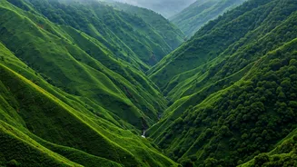 Cherrapunji Landscapes Enter Most Dramatic Velvet Green Phase Ever