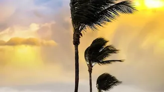A Smart Traveller's Guide to Insurance During Unpredictable Weather
