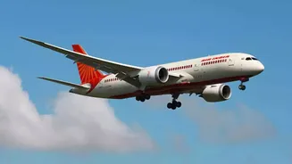 Centre Summons Air India CEO Over Immigration Lapse Involving 3 Foreign Nationals at Delhi Airport: Sources