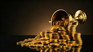 Dhurandhar's Box Office Triumph: A Blockbuster Success