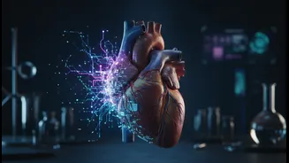 Organ Age Makes Health Tracking More Complex