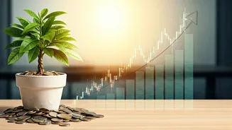 Accumulate Long Term Wealth Sweeping Minor Balances Into Stocks