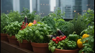 Urban Terrace Gardens Deliver More Than Just Green Views During Rainy Months