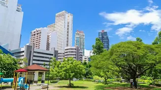 Parks boost mental health for professionals