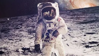 NASA Findings Complicate Assumptions About a Naturally Sterile Moon