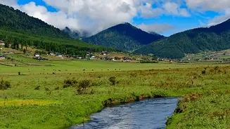 Young travellers need Inner Line Permits and sustainable homestays in Ziro Valley