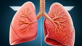 Eat These 7 Foods For Healthy Lungs