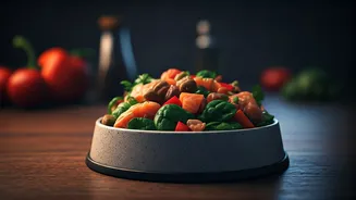 Organic Bowls Are Winning Over Indian Dog Parents