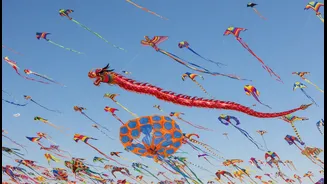 Tamil Nadu's International Kite Festival Needs Context Because Crowds, Heat And Wind Conditions Need Planning