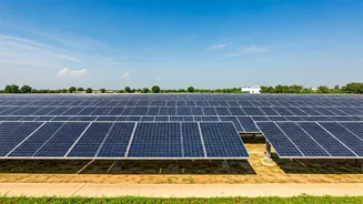 Andhra Pradesh's Solar Power Surge: A Manufacturing Hub
