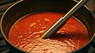 Kitchen Innovation or Hazard? Immersion Rod Curry Cook Trend Goes Viral Amidst LPG Shortages