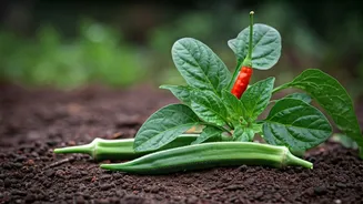 Start Small With These Monsoon Vegetables