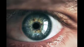 5 Reasons Why Eye Examinations Must Be A Part Of Your Annual Health Check-ups