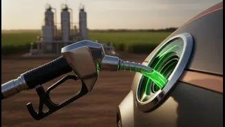 How E20 flex-fuel transition reduces India reliance on imported petroleum products
