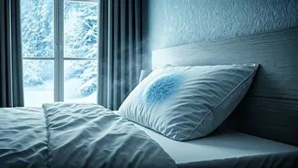 Nick Jonas' Chilling Sleep Secret: Why a Cold Room is Key for Deep Rest