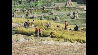 How Sustainable Livelihoods Are Transforming Communities in India