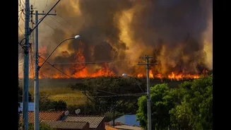 When wildfires make their own weather: France's first fire-cloud, and India