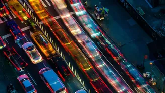 Glowing plants could light up cities