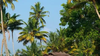Why The Latest Update Is Significant: Kerala Sustainable Tourism