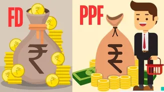 Fixed deposit v/s PPF: Which suits your risk-averse nature?