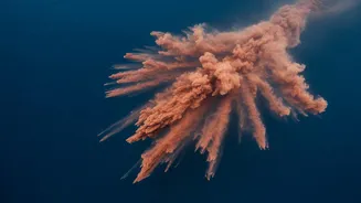 The New Ocean Iron Study Highlights Climate Solutions With Side Effects