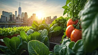 Why State Governments Are Financing Your Urban Kitchen Garden Project