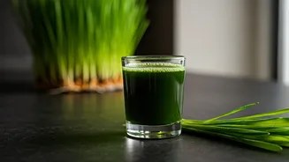 Wheatgrass Power Shots: Your Ultimate Morning Energizer for Enhanced Well-being