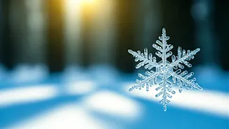 Exploring the Wonders of Snow: A Scientific Dive