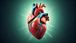 Beyond the Gym: Unpacking Hidden Heart Risks for the Seemingly Healthy