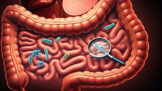 Beyond the Plate: Unraveling the Surprising Links Between Your Gut, Cravings, and Food Safety