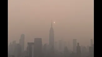 Air Pollution Linked to Cognitive Decline and Dementia Risks
