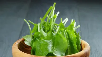 Why Eating Carbs Last After Leafy Greens Optimises Digestion And Steady Energy Flow