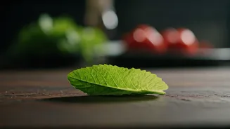 India’s Restaurant Scene Is Going Low-Waste