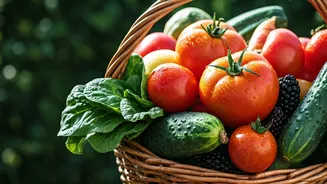 July's Seasonal Harvest Is Worth Exploring