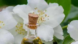 Why Bitter Orange Blossoms Are Prized For Neroli Oil