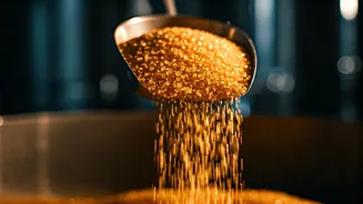 Uttar Pradesh Dominates Sugar Recovery: A Sweet Victory in Sugarcane Processing