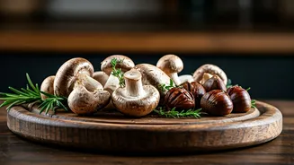 Mushroom & Chestnut Magic: Unlocking Culinary Delights