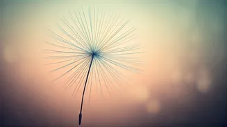 Inner Child Healing: 10 Essential Affirmations for Emotional Resilience